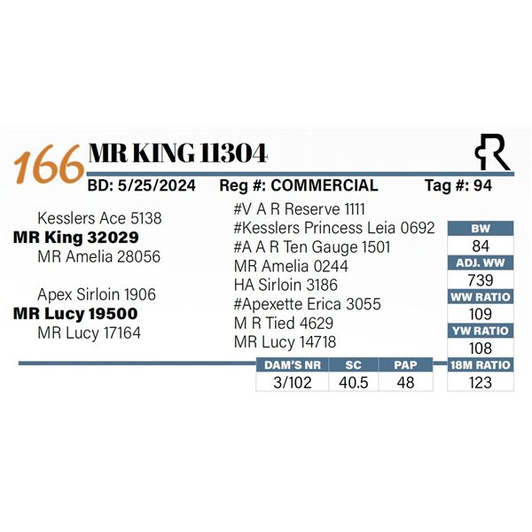MR King 11304