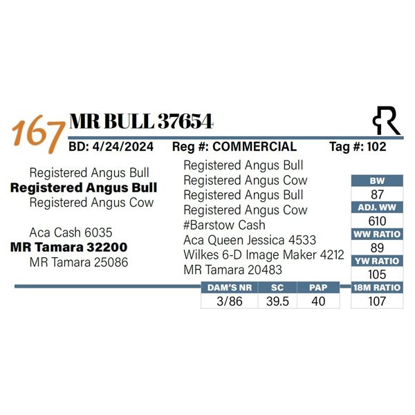 MR Bull 37654
