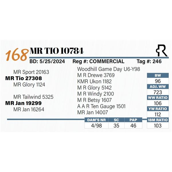 MR Tio 10784