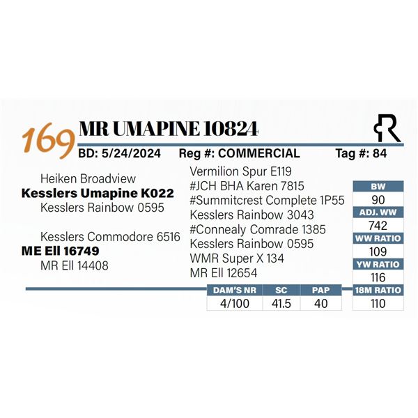MR Umapine 10824