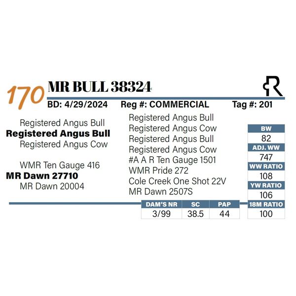 MR Bull 38324