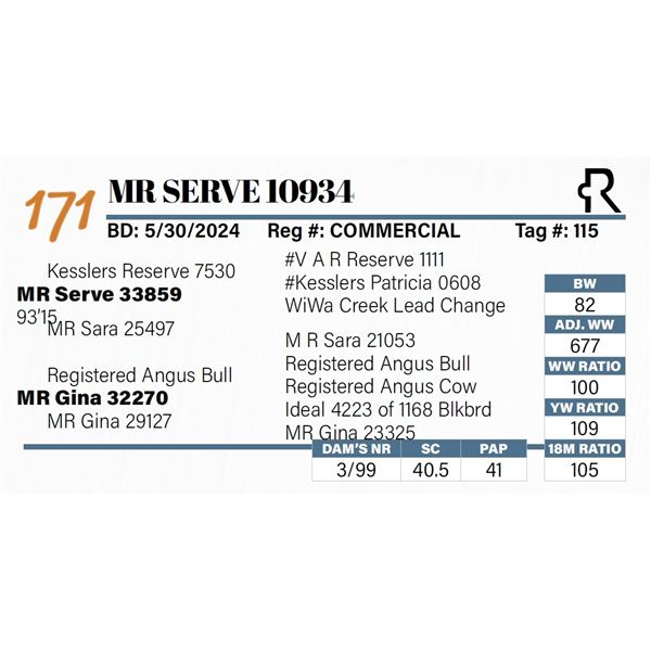 MR Serve 10934