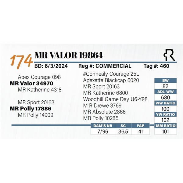 MR Valor 19864
