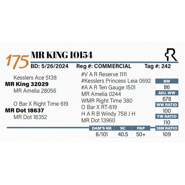 MR King 10154