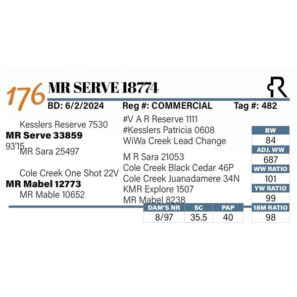 MR Serve 18774