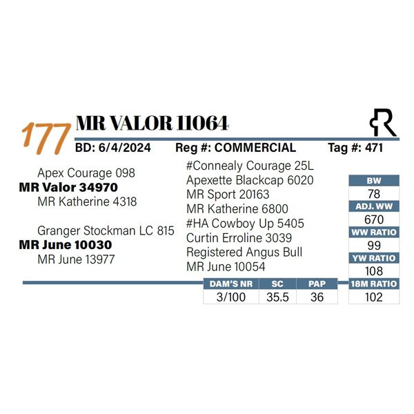 MR Valor 11064