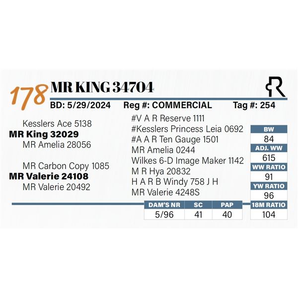 MR King 34704