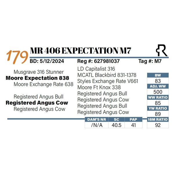 MR 406 Expectation M7