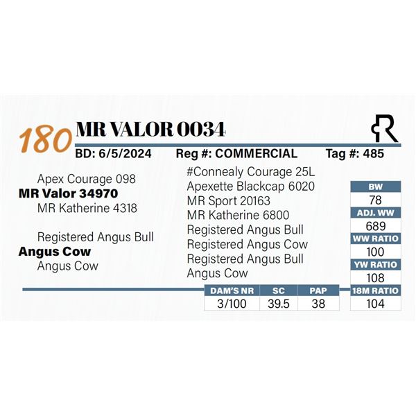 MR Valor 0034