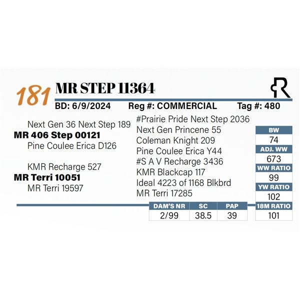 MR Step 11364