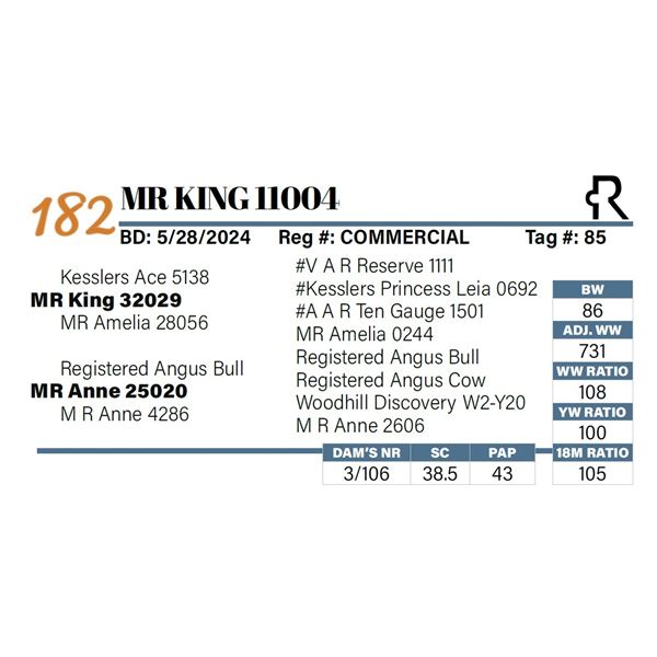 MR King 11004