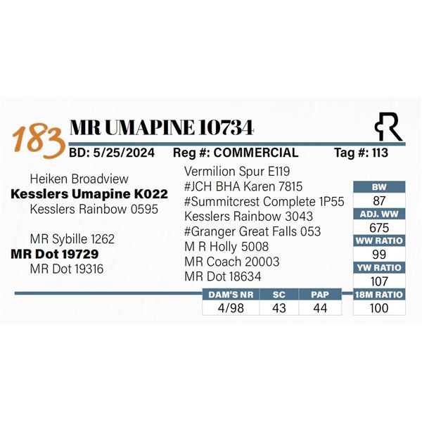 MR Umapine 10734