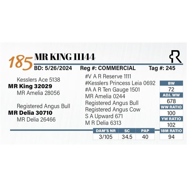 MR King 11144