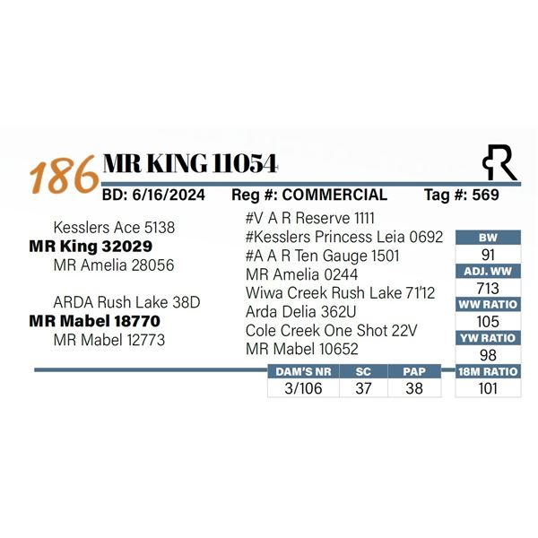 MR King 11054