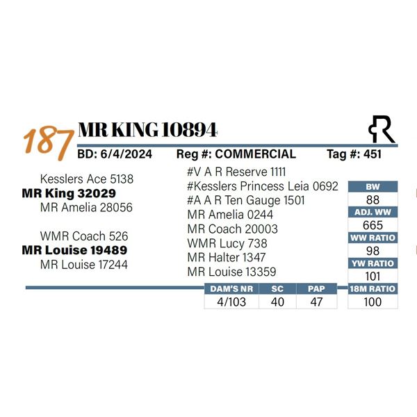 MR King 10894