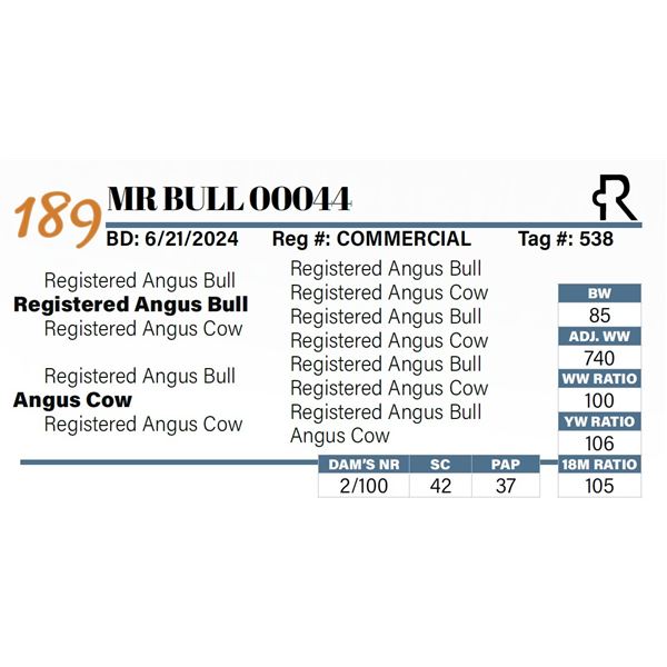 MR Bull 00044