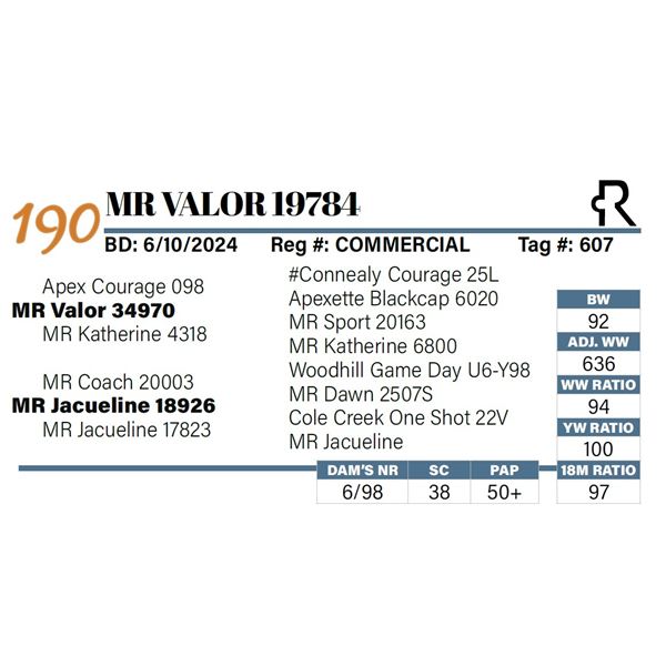 MR Valor 19784