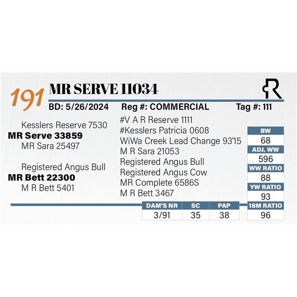 MR Serve 11034