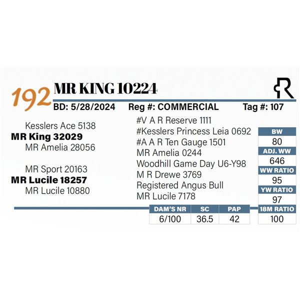MR King 10224