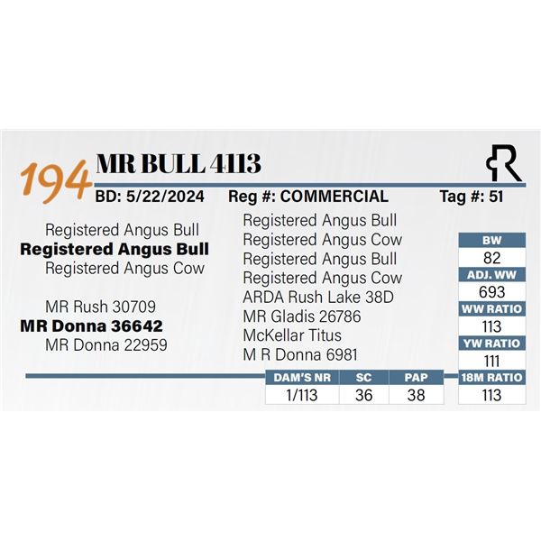 MR Bull 4113