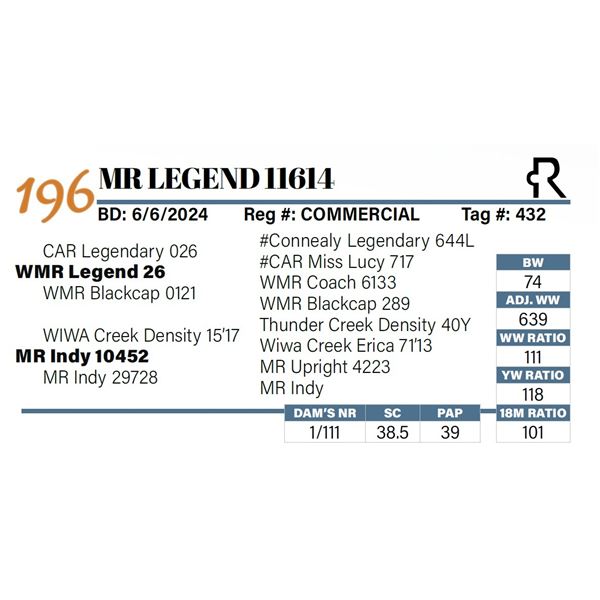 MR Legend 11614