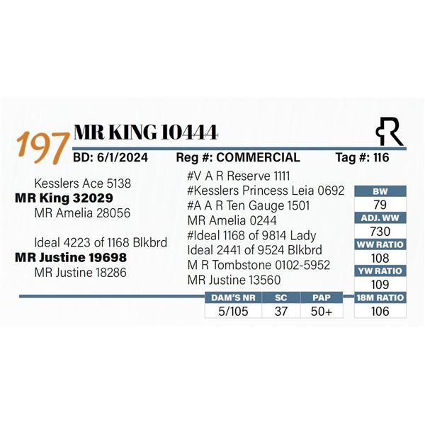 MR King 10444