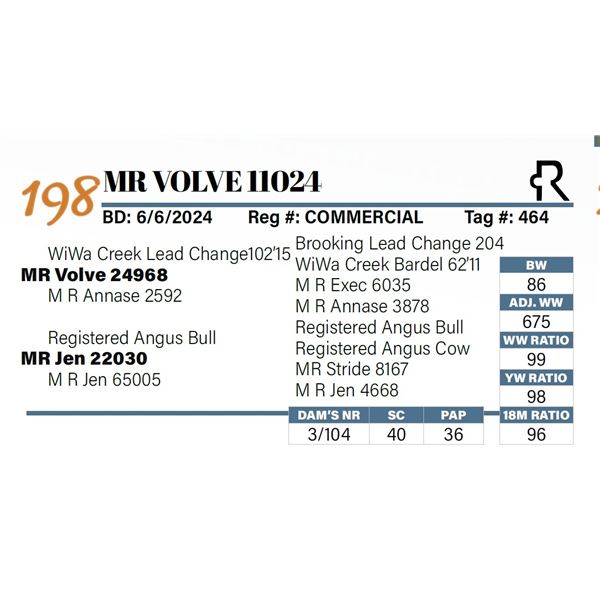 MR Volve 11024