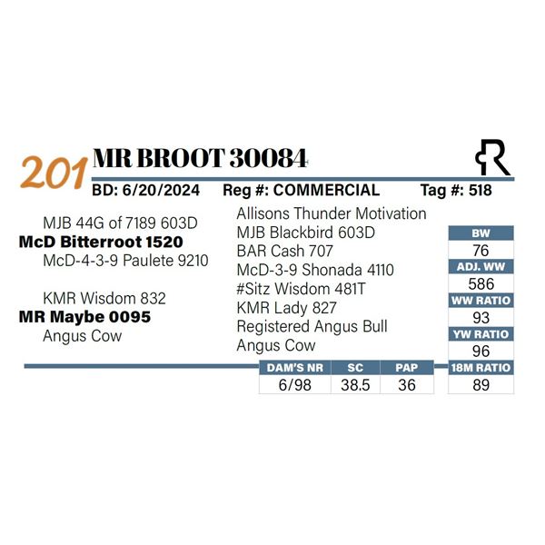 MR Broot 30084