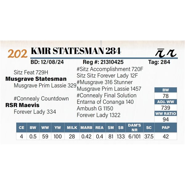 KMR Statesman 284