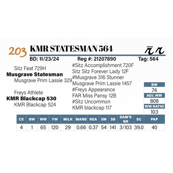 KMR Statesman 564