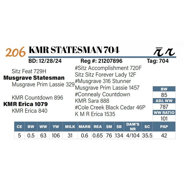 KMR Statesman 704