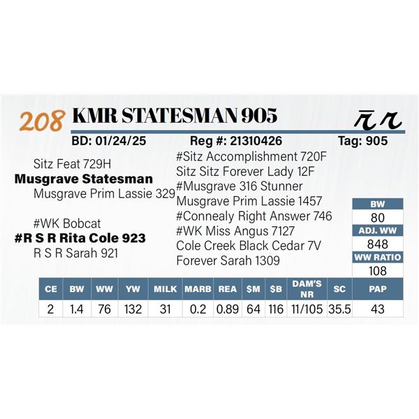 KMR Statesman 905