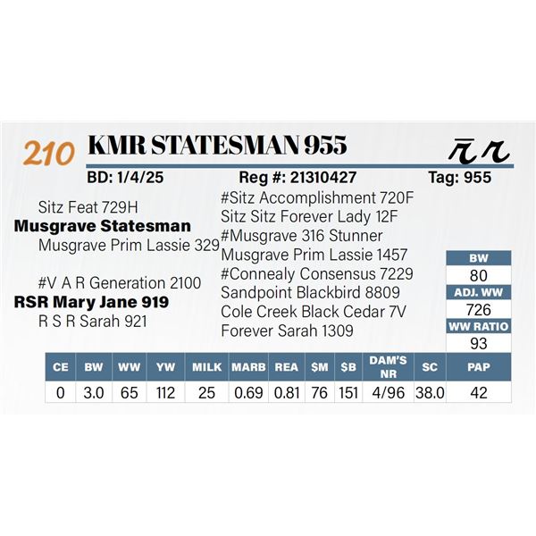 KMR Statesman 955