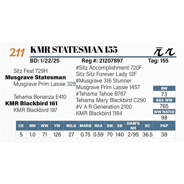 KMR Statesman 155