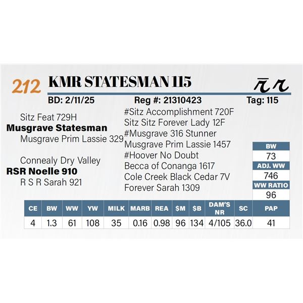 KMR Nome 115