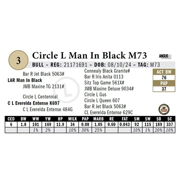 Circle L Man In Black M73
