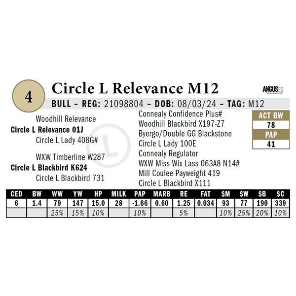 Circle L Relevance M12