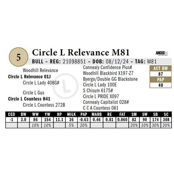 Circle L Relevance M81