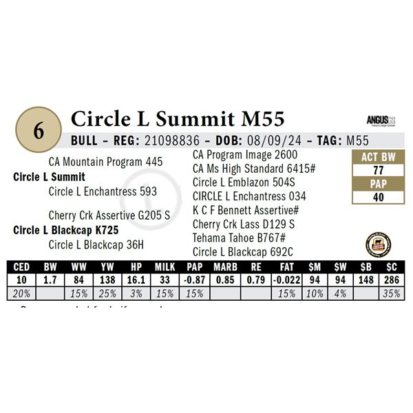 Circle L Summit M55