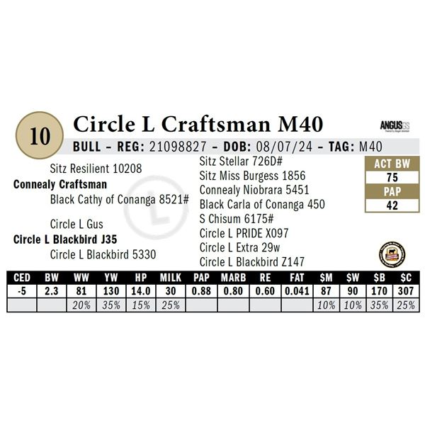 Circle L Blackbird M40