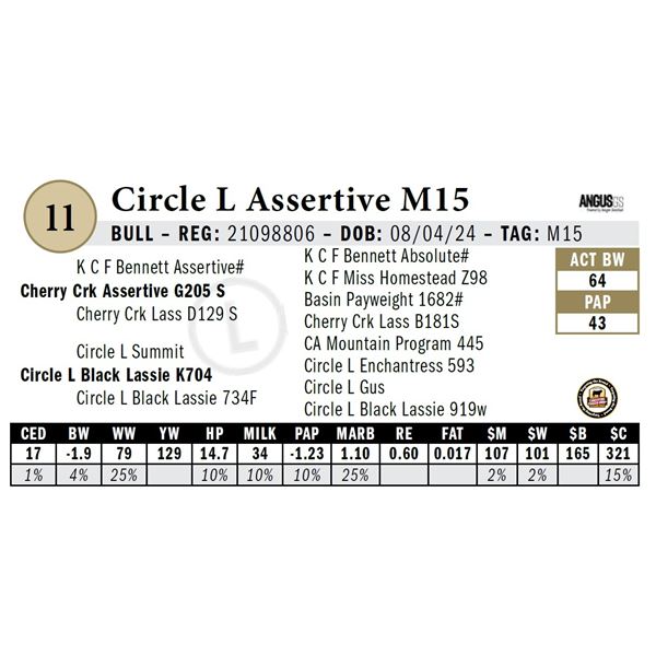 Circle L Assertive M15