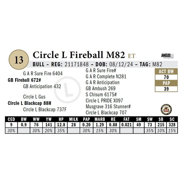 Circle L Fireball M82