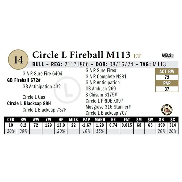 Circle L Fireball M113
