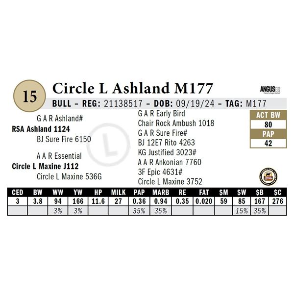 Circle L Ashland M177
