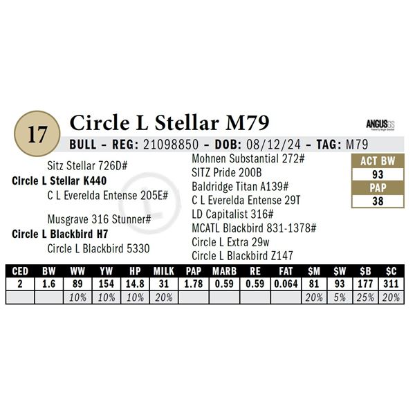 Circle L Stellar M79