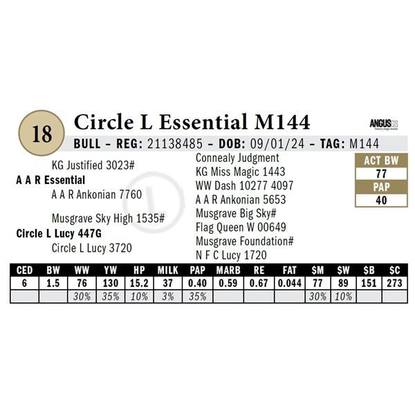 Circle L Essential M144