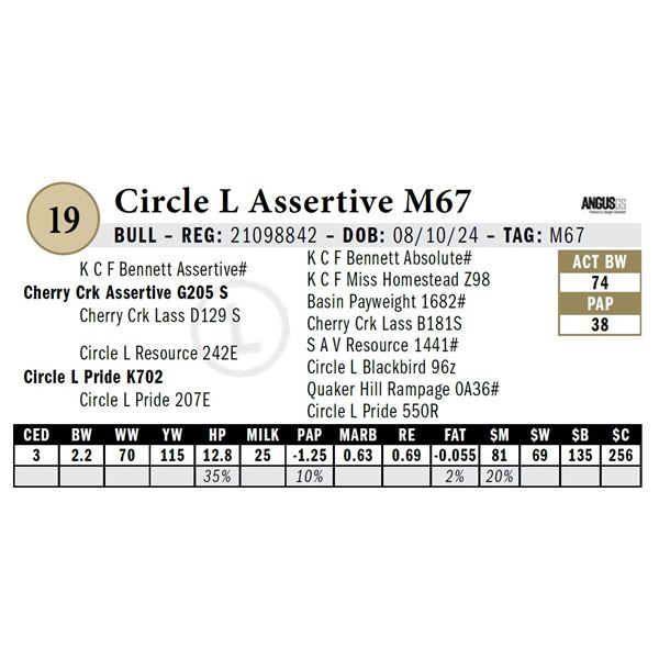 Circle L Assertive M67