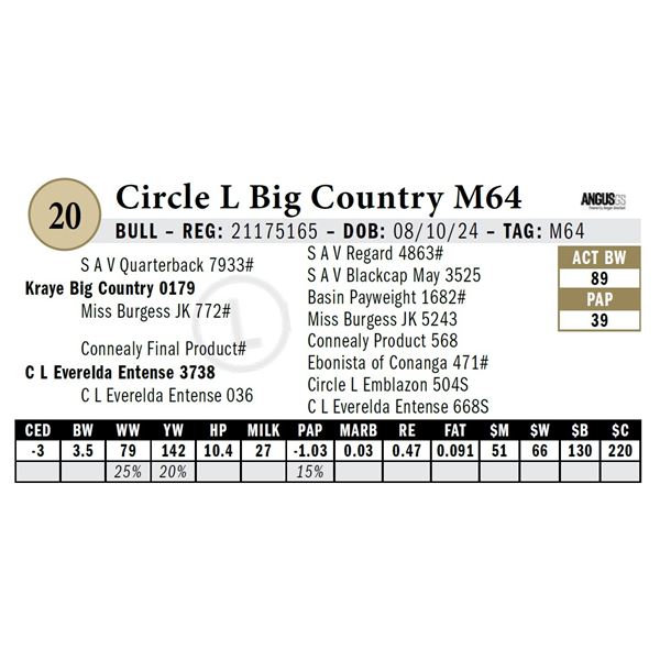 Circle L Big Country M64