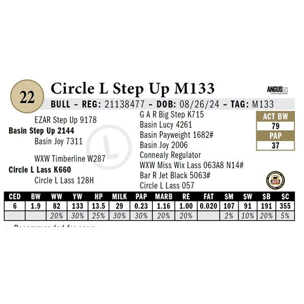 Circle L Step Up M133