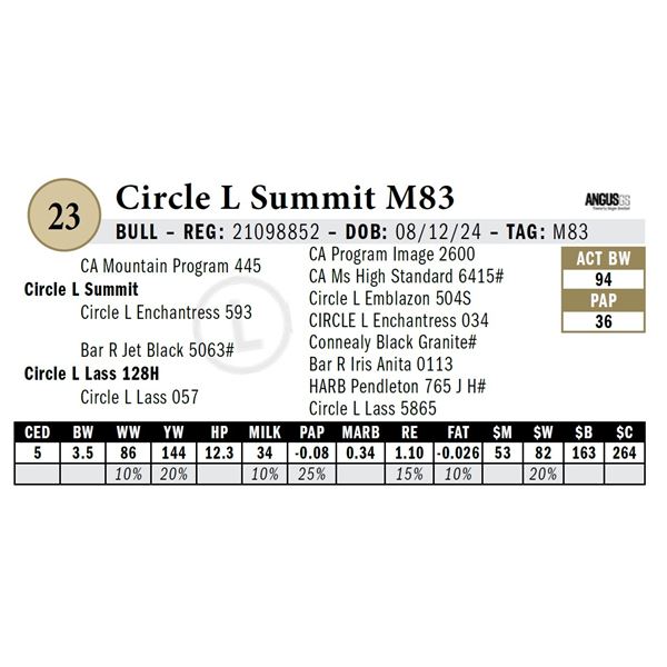 Circle L Summit M83